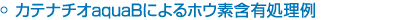 カテナチオaquaBによるホウ素含有処理例