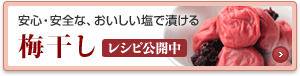 安心・安全な、おいしい塩で漬ける 梅干し レシピ公開中