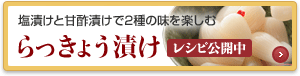 塩漬けと甘酢漬けで２種の味を楽しむ らっきょう漬け レシピ公開中