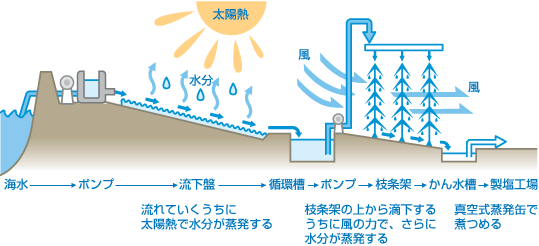 日本の塩造り 塩を知る 個人のお客様 株式会社 日本海水