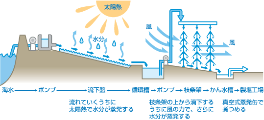 図：流下式枝条架式塩田 ～ 近代から現代～